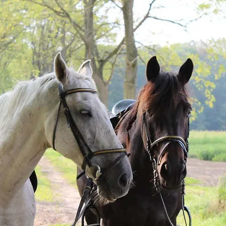 Hoeve Westdijk Bed & Breakfast